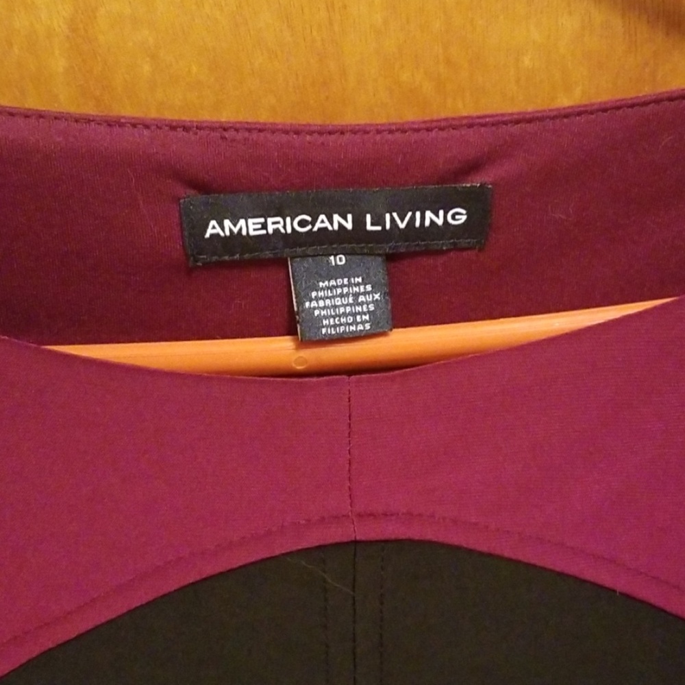 American Living Dress cover shot shows fit only! - Picture 3 of 5